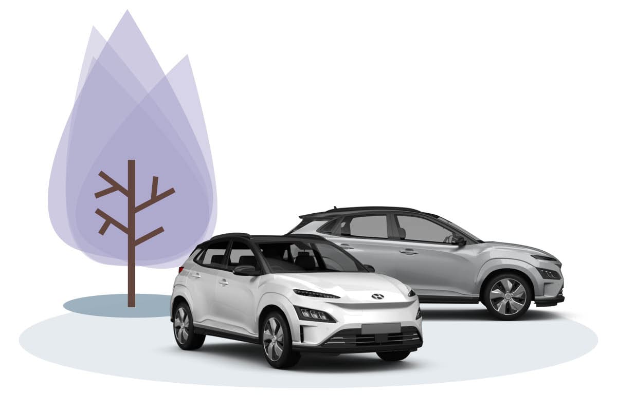 Hyndai Kona & Ioniq Modelle, Natur Illustration