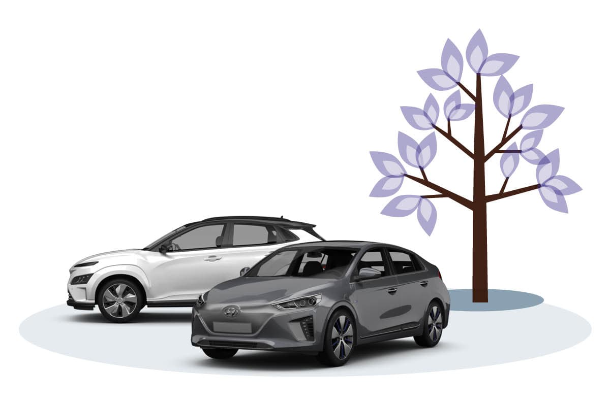 Hyndai Kona & Ioniq Modelle, Natur Illustration