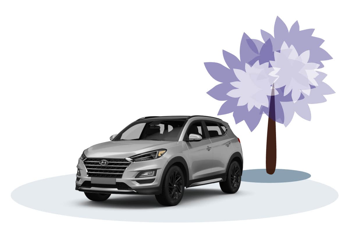 Hyndai Tucson Modell, Natur Illustration